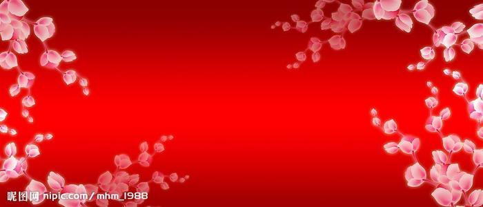 学历证书编号可以在学信网查到吗